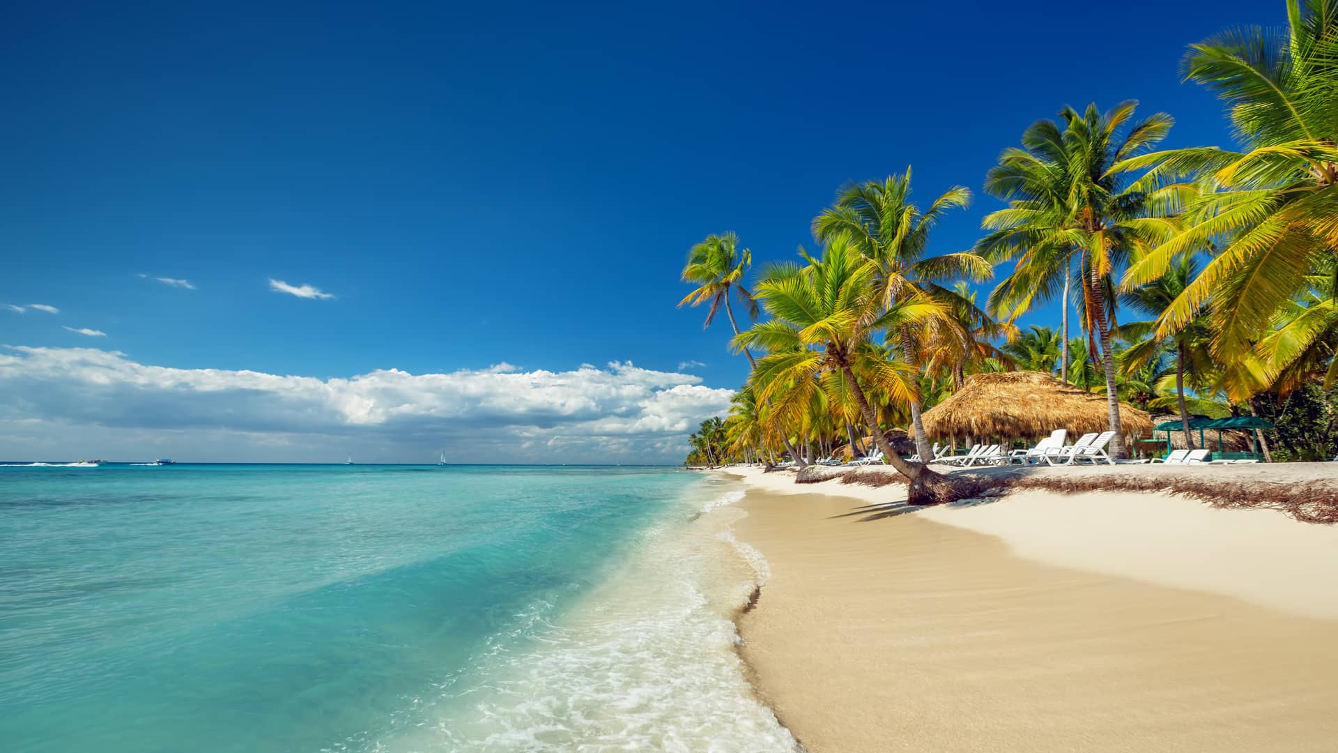 A heavenly beach in Punta Cana that represents the international deals in this place